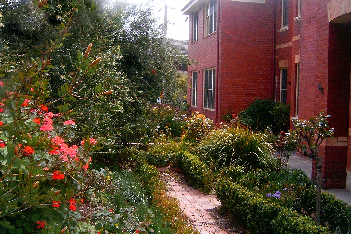Garden at front of student house