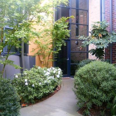 Courtyard Garden